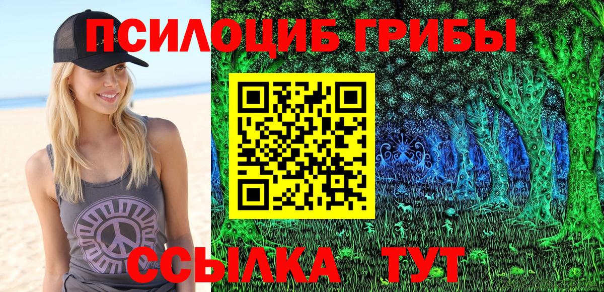Псилоцибиновые грибы мицелий Алушта